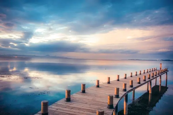 初元饮品公司介绍