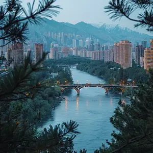 介绍杭州的科技公司