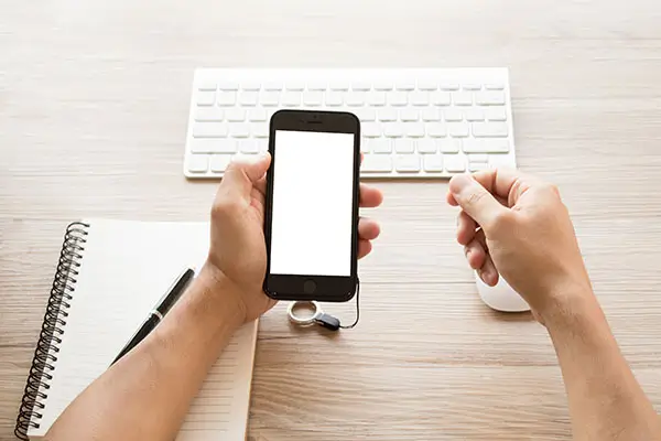 翠花国际公司介绍